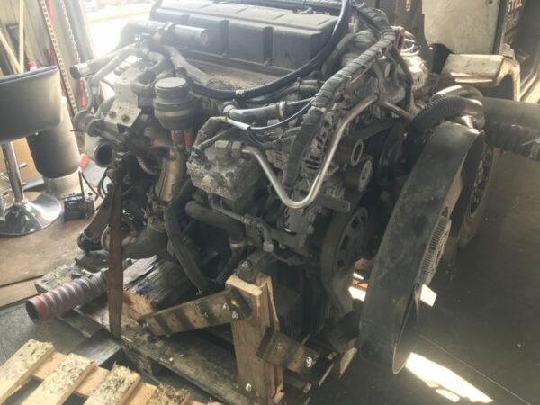 MAN engine D0834 LFL AG
