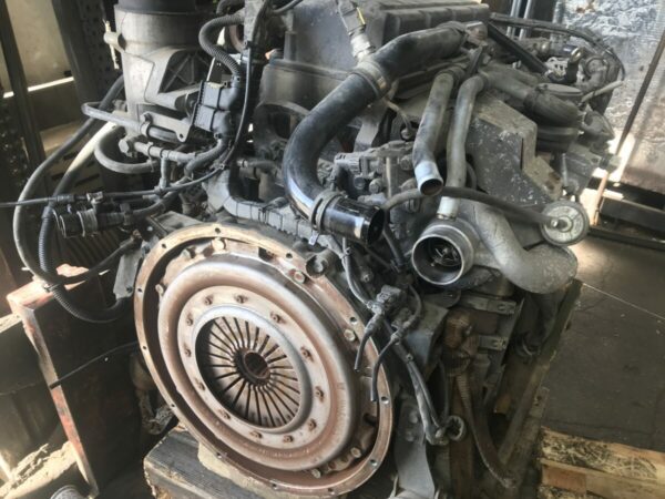 MAN engine D0834 LFL AG - Image 2